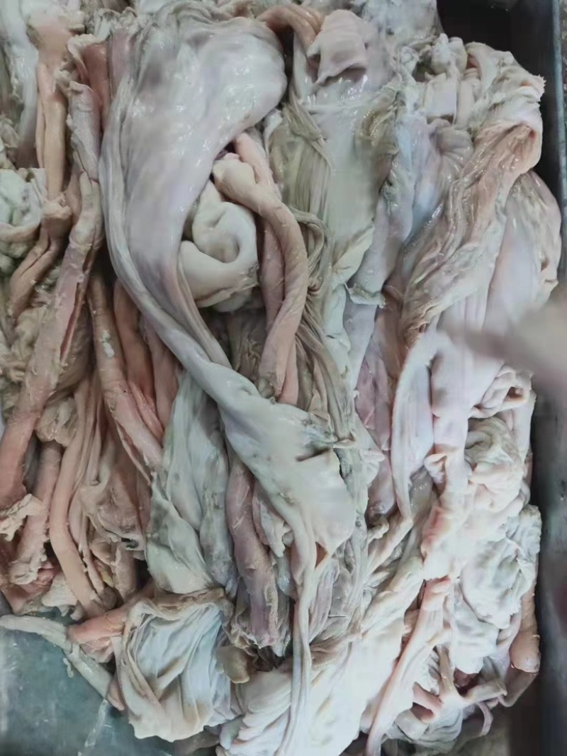 羊小肚羊百叶散袋红肠大量有货工厂批发