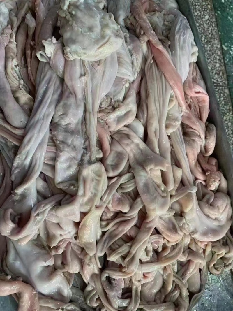 羊小肚羊百叶散袋红肠大量有货工厂批发
