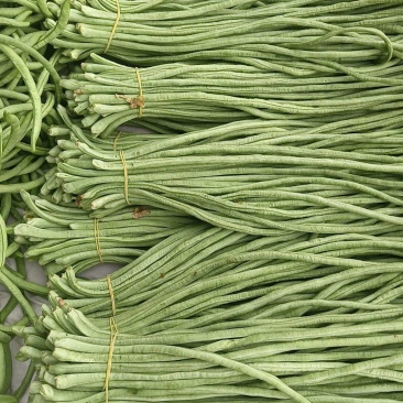 豆角豆角大量上市需要的联系我