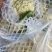 【松花菜】河北菜花保定有机花菜货源稳定产地批发大量供货代发