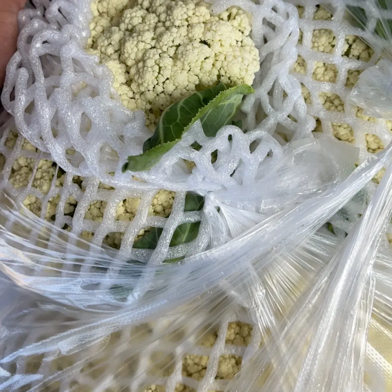 【松花菜】河北菜花保定有机花菜货源稳定产地批发大量供货代发