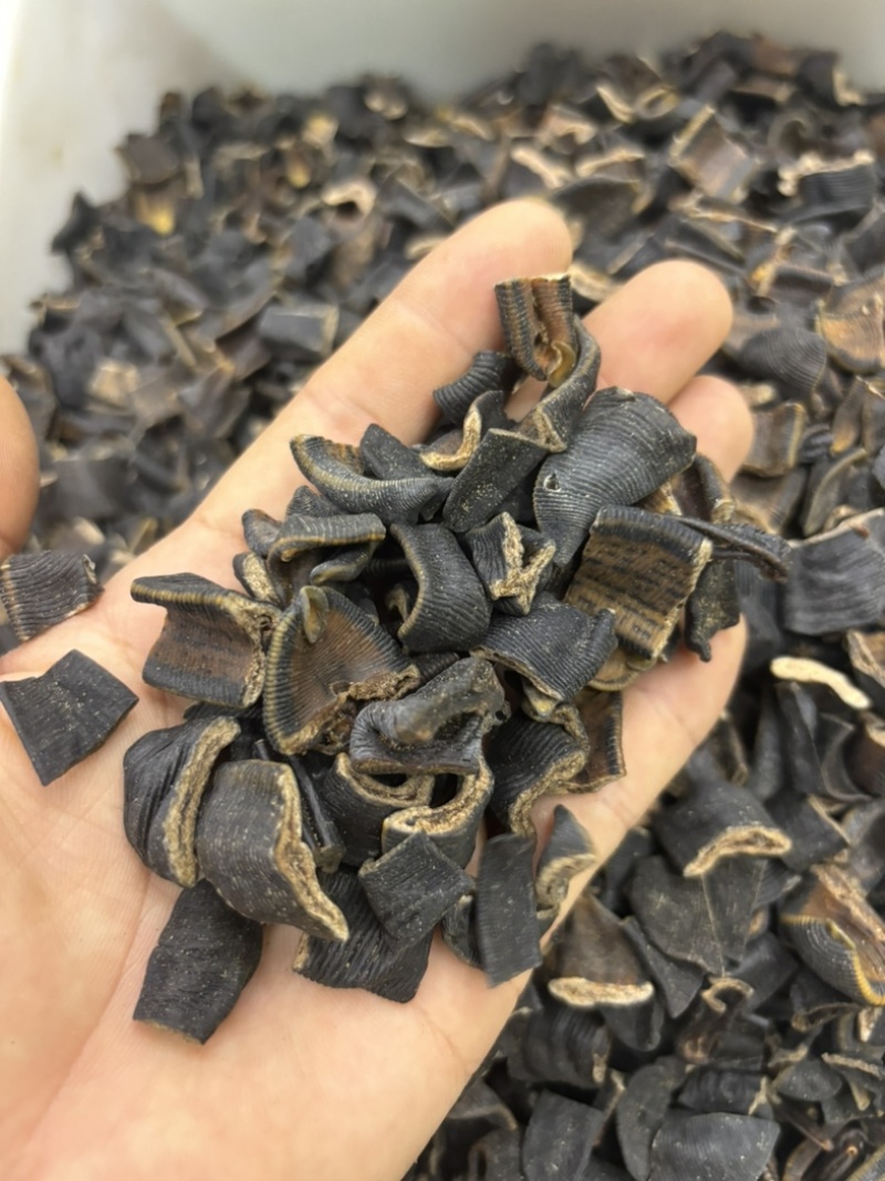 水蛭蚂蝗含量高个头大品种齐全水蛭段药用水蛭量大优惠