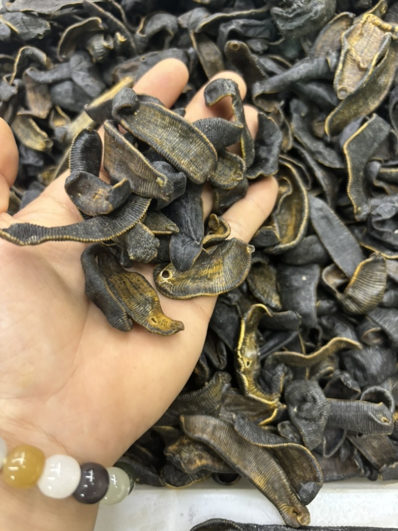 水蛭蚂蝗含量高个头大品种齐全水蛭段药用水蛭量大优惠