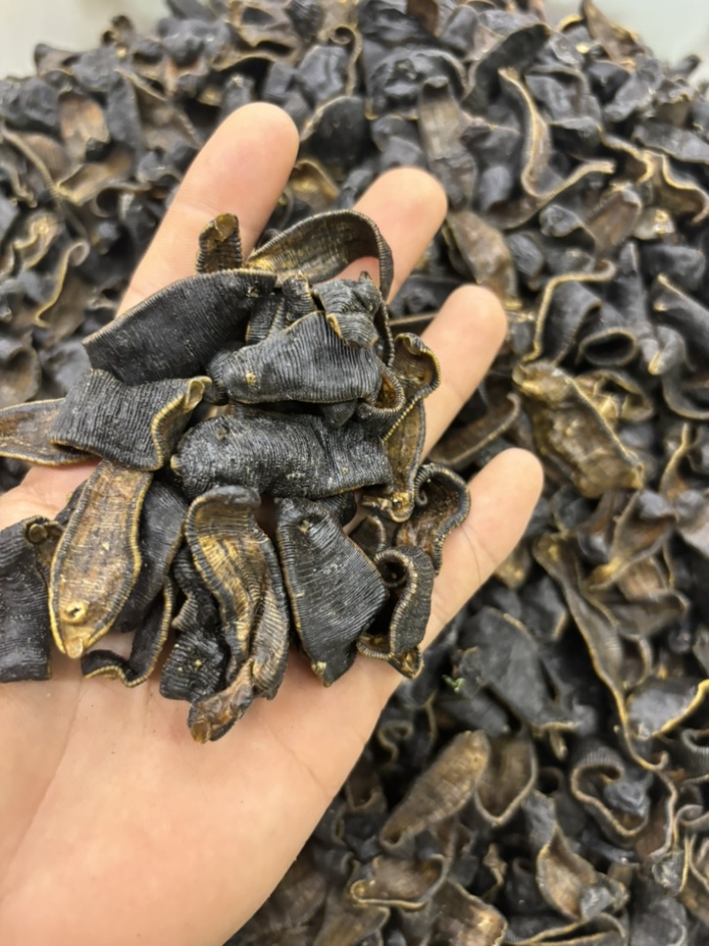 水蛭蚂蝗含量高个头大品种齐全水蛭段药用水蛭量大优惠