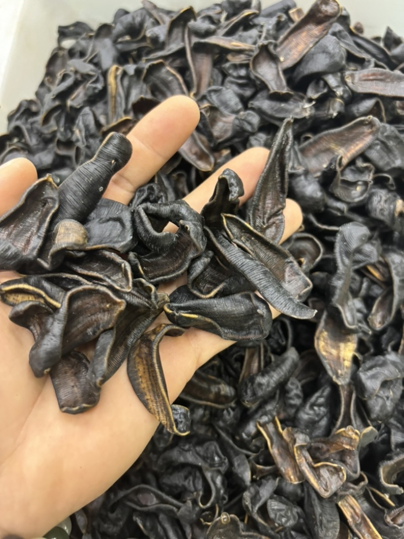 水蛭蚂蝗含量高个头大品种齐全水蛭段药用水蛭量大优惠