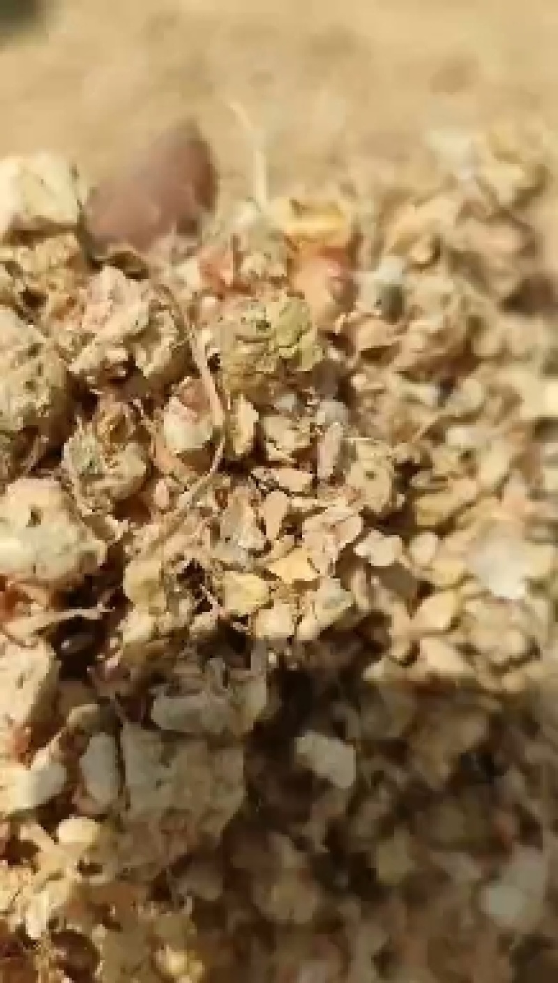 玉米芯颗粒压块，金针菇料，全年有货。