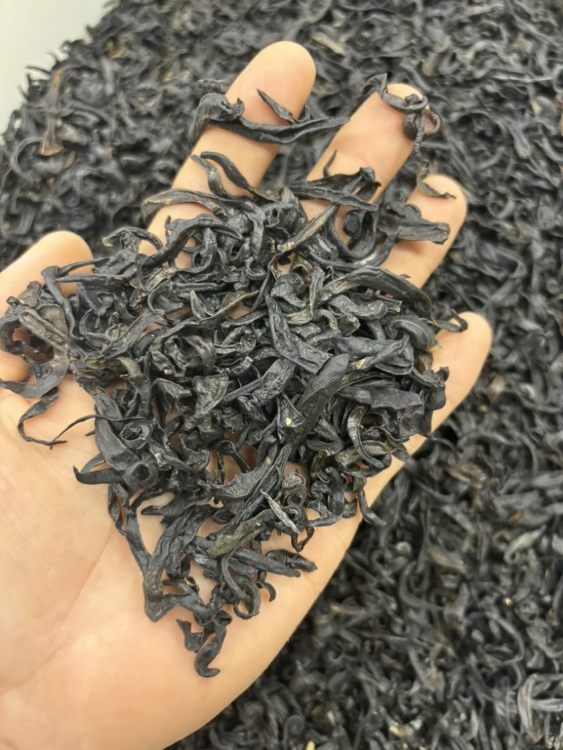 水蛭蚂蝗含量高个头大品种齐全水蛭段药用水蛭量大优惠