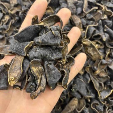 水蛭蚂蝗含量高个头大品种齐全水蛭段药用水蛭量大优惠
