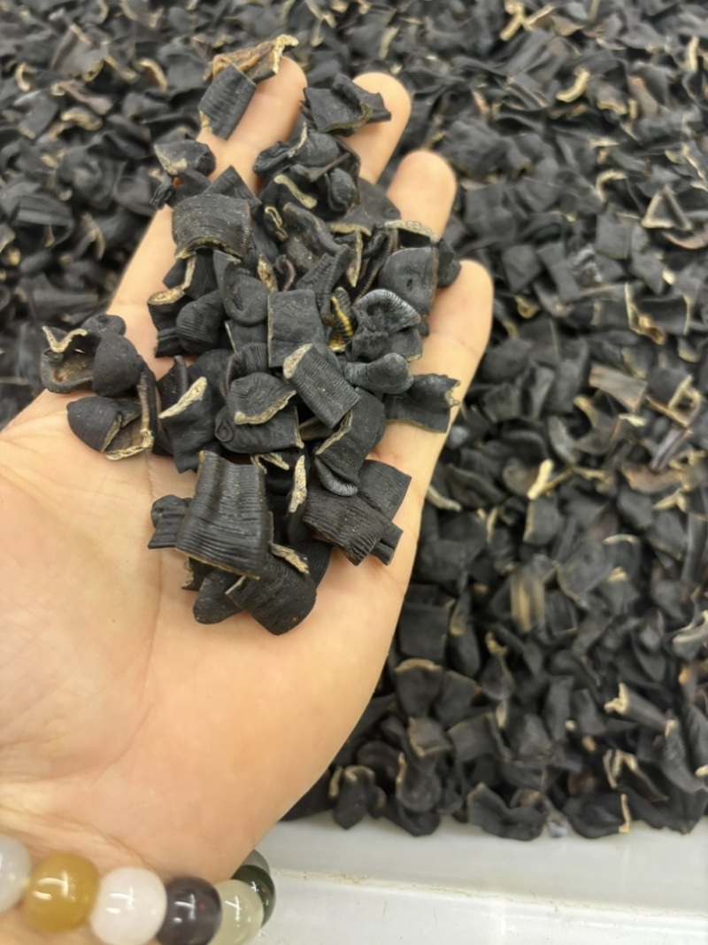 水蛭蚂蝗含量高个头大品种齐全水蛭段药用水蛭量大优惠