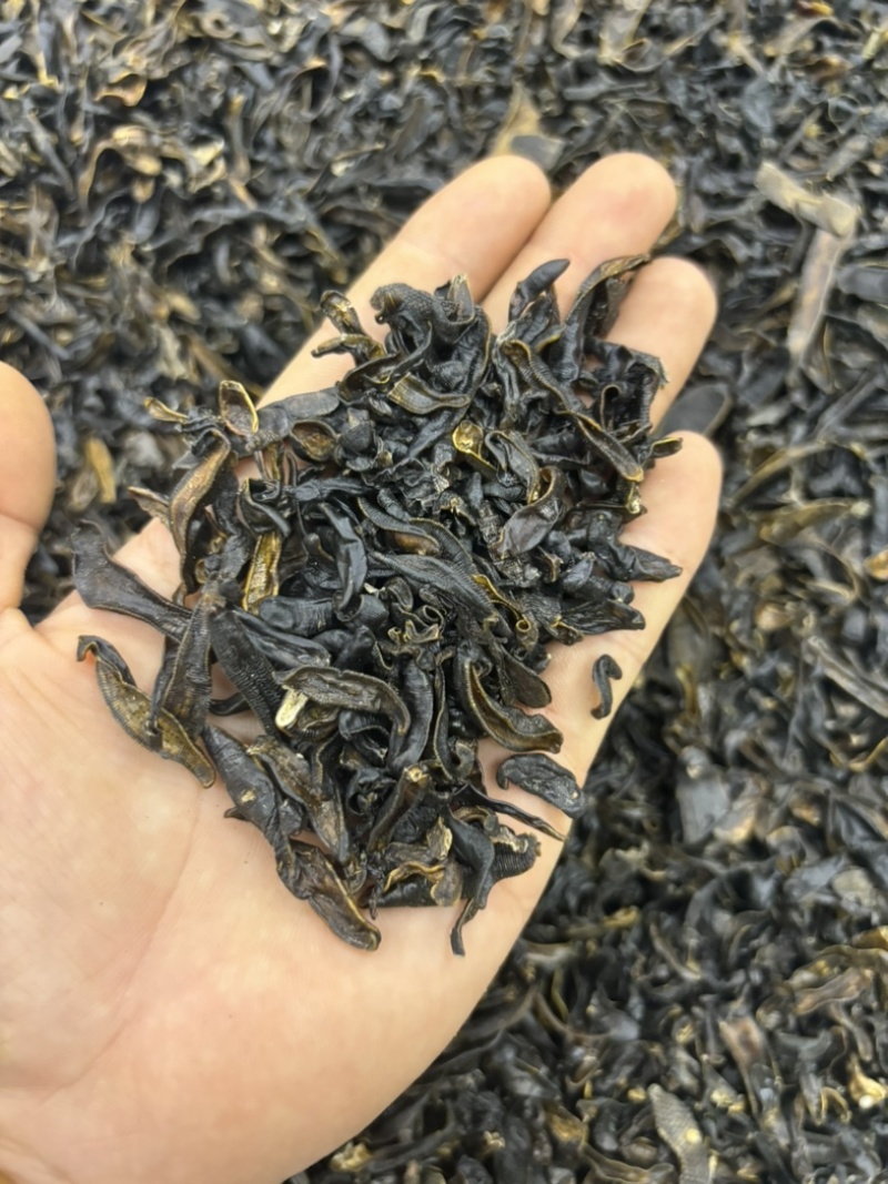 水蛭蚂蝗含量高个头大品种齐全水蛭段药用水蛭量大优惠