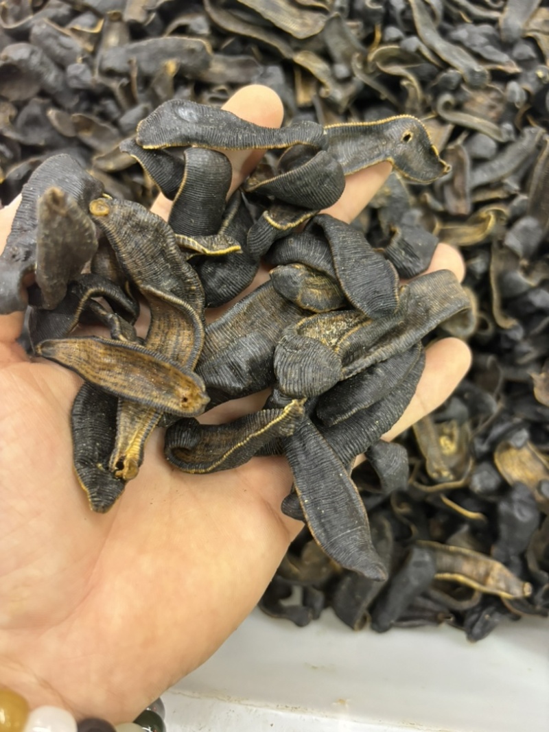水蛭蚂蝗含量高个头大品种齐全水蛭段药用水蛭量大优惠