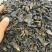 水蛭蚂蝗含量高个头大品种齐全水蛭段药用水蛭量大优惠