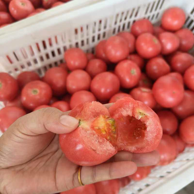 湖北长阳西红柿，一手货源，产地直供，量大价优，欢迎咨询