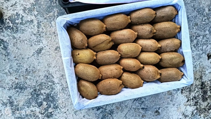热卖红心猕猴桃，绿心猕猴桃