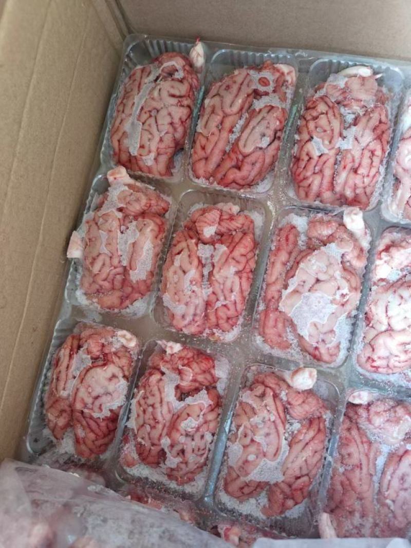 标猪盒装一级脑花