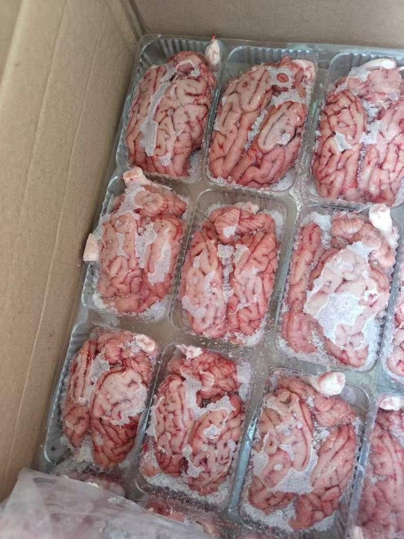 标猪盒装一级脑花