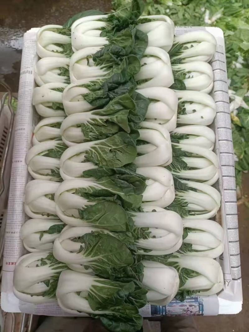 奶白菜