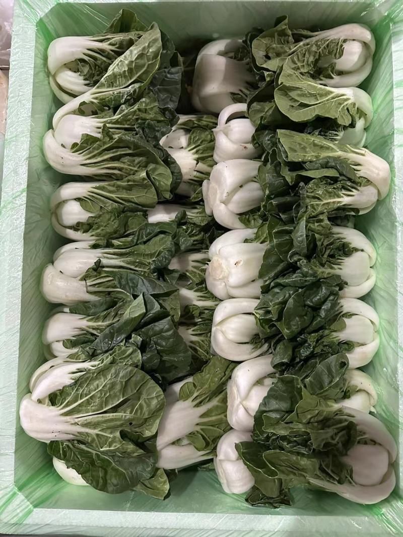 奶白菜