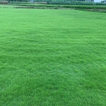 马尼拉