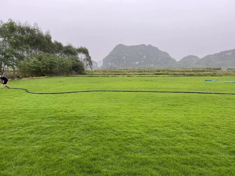 马尼拉