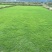 马尼拉