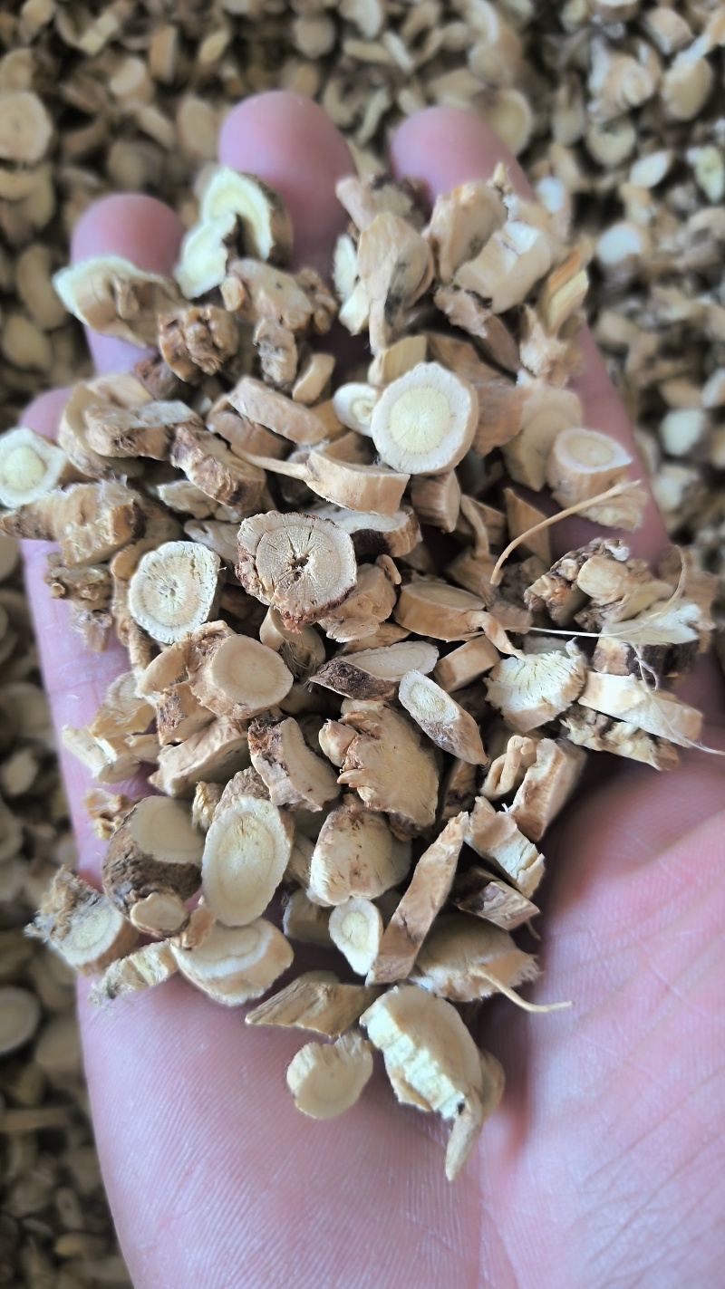 黄芪打粉用黄芪药用兽用批发各种中药材质量保证