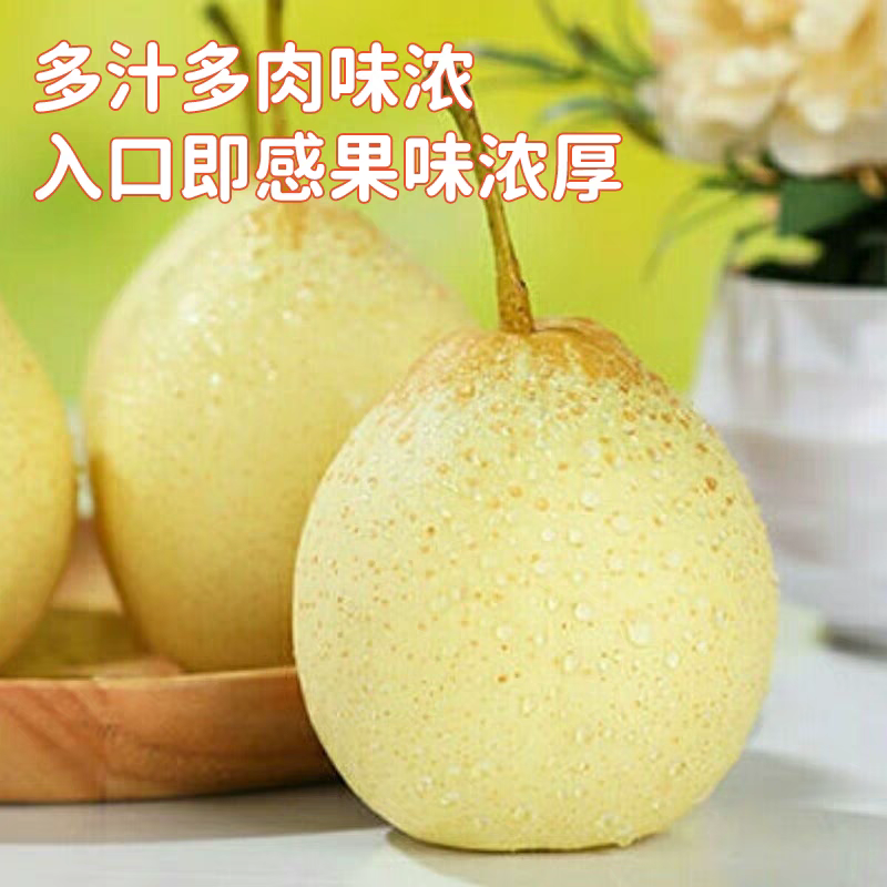 河北鸭梨/新鲜多汁，口感香甜，欢迎广大客商咨询订购