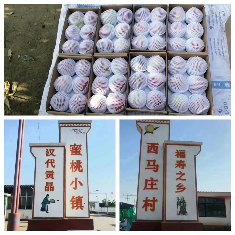 深州蜜桃