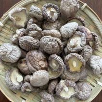 「干香菇」西峡香菇厂家直发供应加工厂餐饮