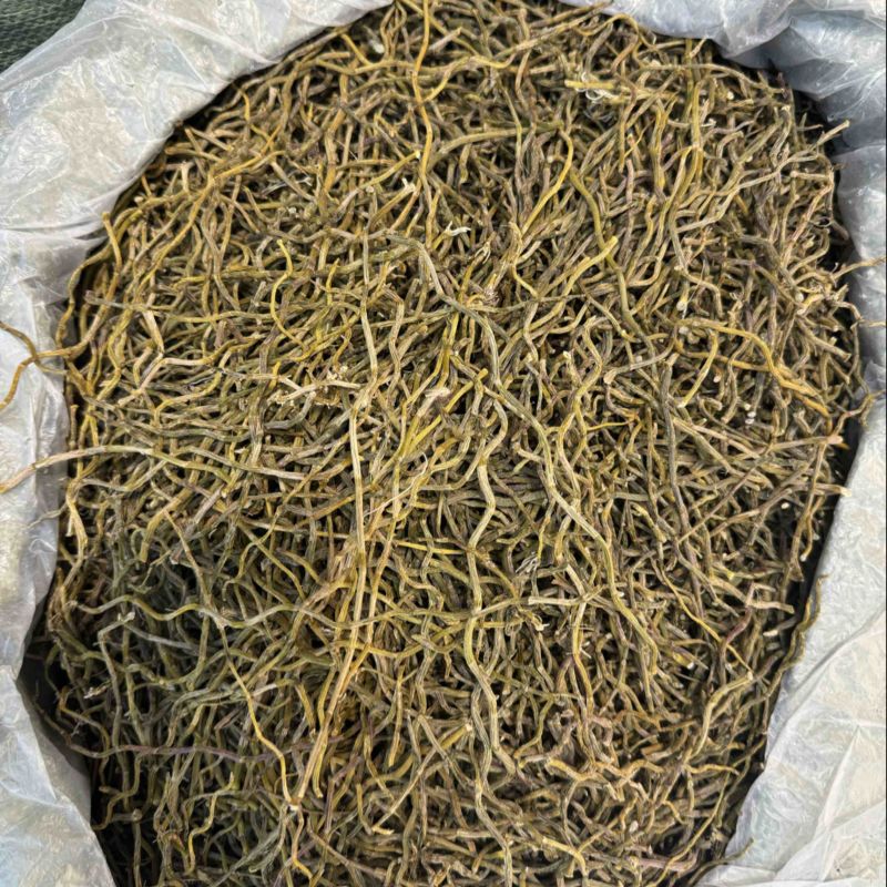 铁皮石斛干条/云南发货/产地直供/质量无忧/欢迎致电