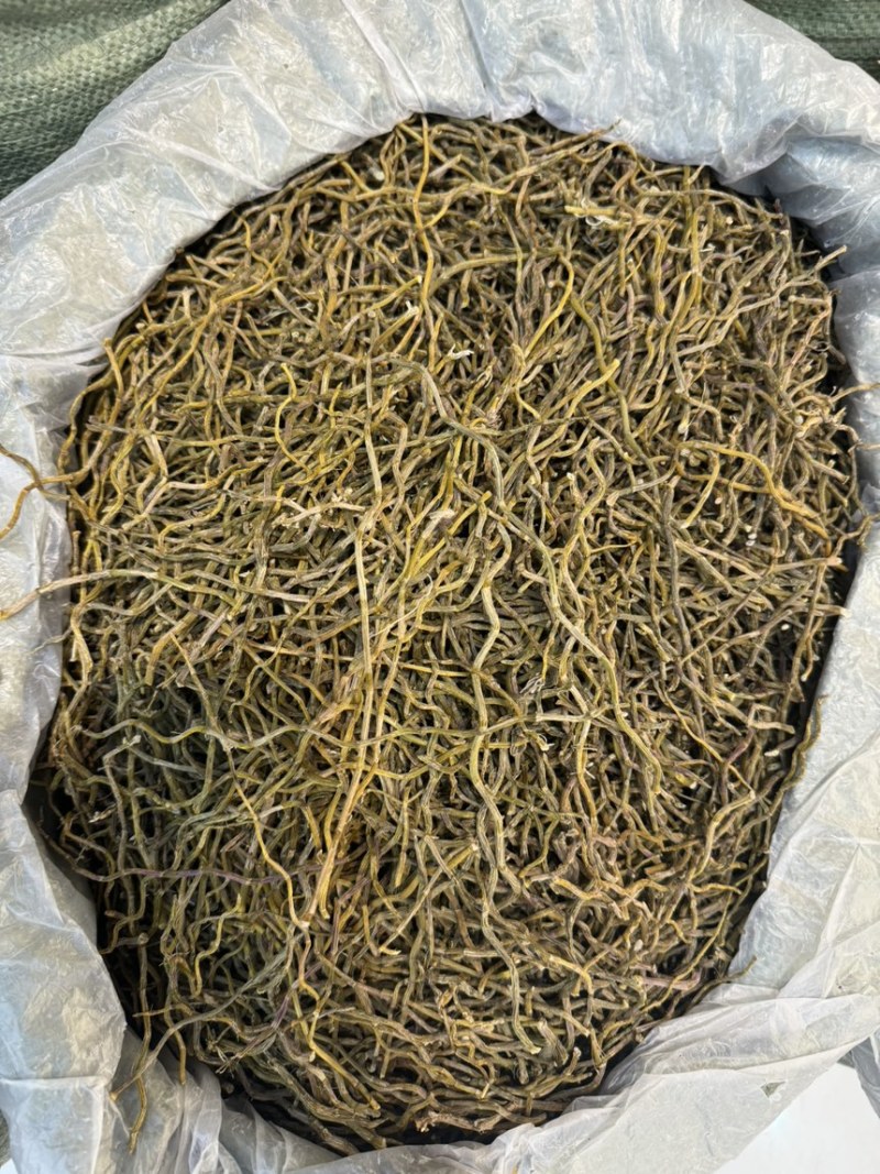 铁皮石斛干条/云南发货/产地直供/质量无忧/欢迎致电