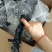 乌鸡