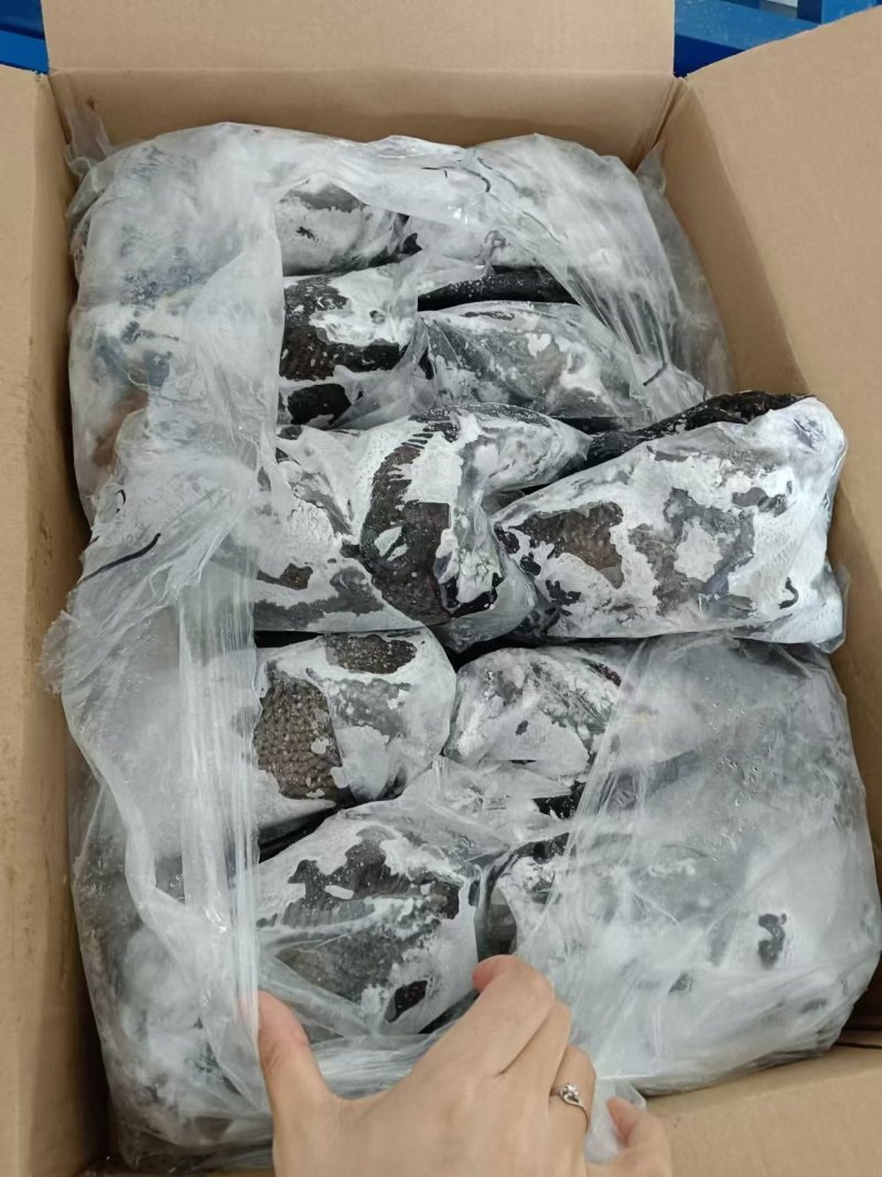 乌鸡
