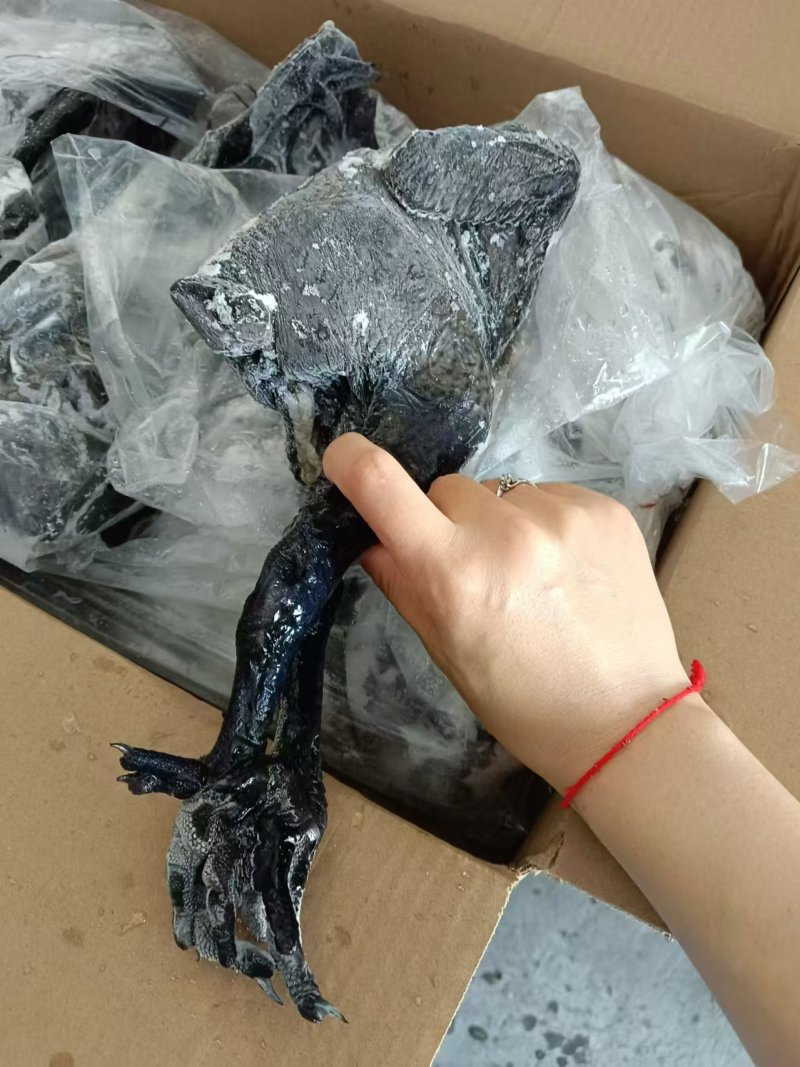 乌鸡