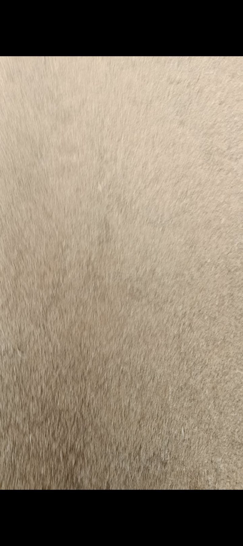 粮库的好粮，无杂志，无霉变，干净，新鲜刚刚出粮库！！！！