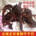 云南牛干巴品质保证诚信经营欢迎联系接商超市场电商