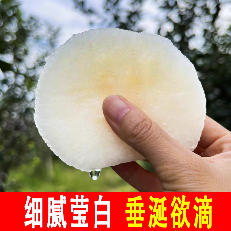 秋月梨-精品-无梨栓-无瑕疵，预定