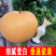 秋月梨-精品-无梨栓-无瑕疵，预定