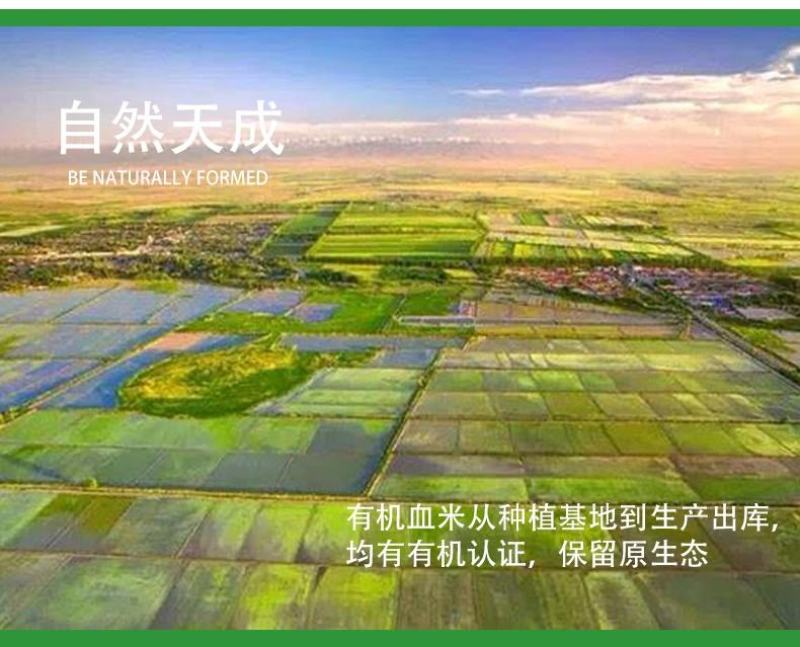新疆伊犁察布察锡布族血糯米全国包邮一件代发