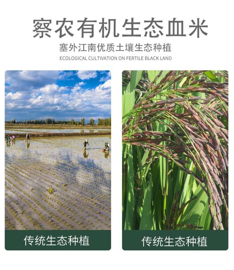 新疆伊犁察布察锡布族血糯米全国包邮一件代发