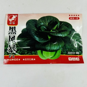 杂交一代黑叶苏州青种子黑叶油亮矮脚苏州青种籽耐寒黑大头青