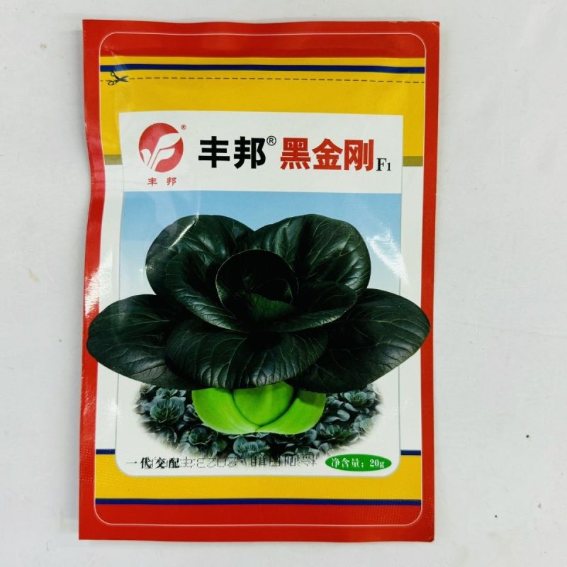 杂交一代黑叶苏州青种子黑叶油亮矮脚苏州青种籽耐寒黑大头青