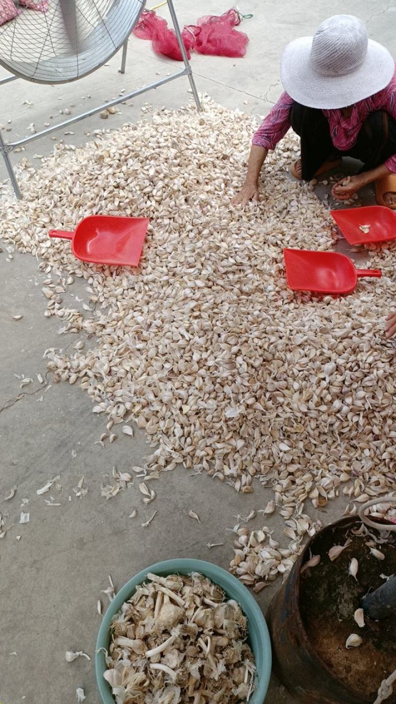 苍山四六瓣蒜瓣