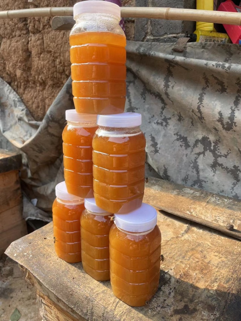 【优选】农家土蜂蜜健康放心好蜂蜜诚信经营