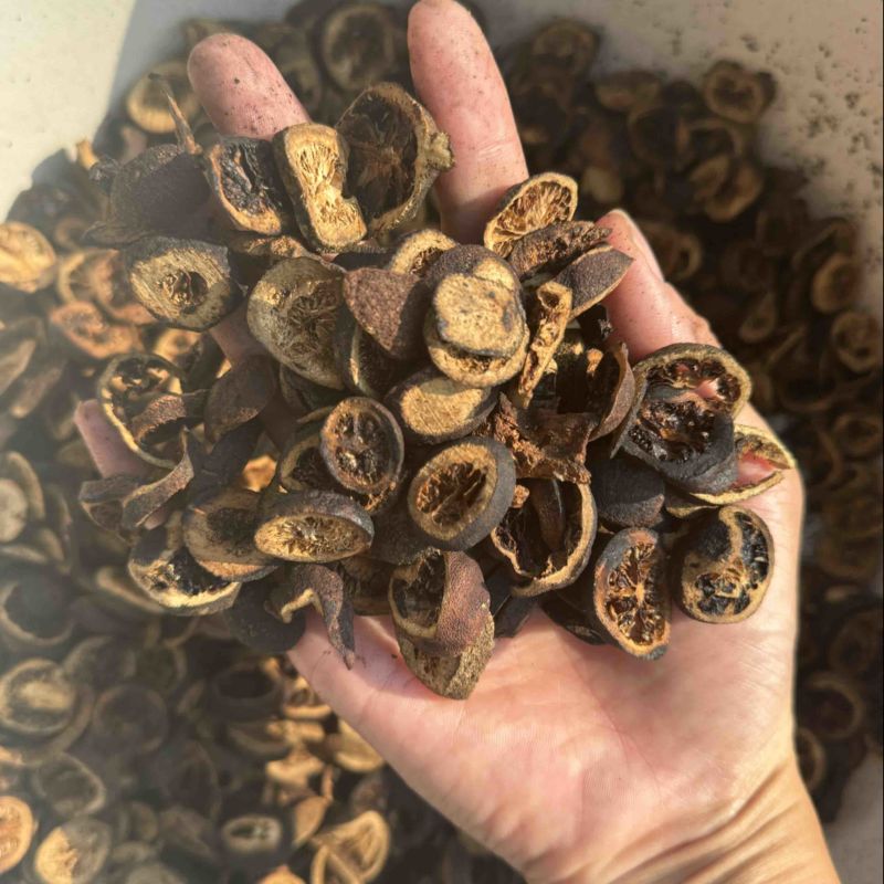 青皮醋青皮炒青皮生青皮另有青皮个现货