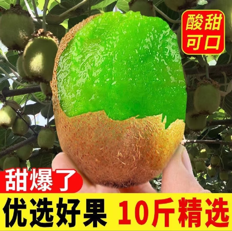 炎陵猕猴桃批发零售一件代发保质保量供货