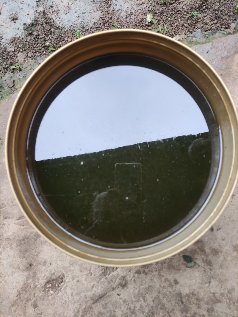 农家土蜂蜜（中华蜜），自产自销