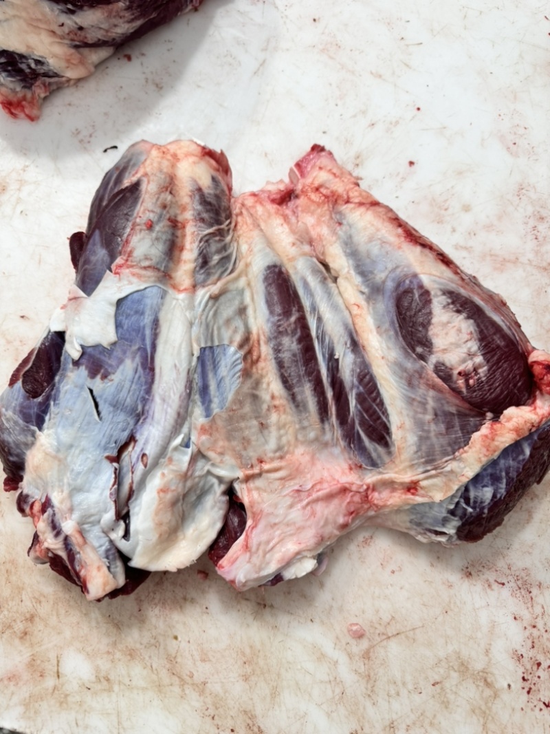四分体，牛肉