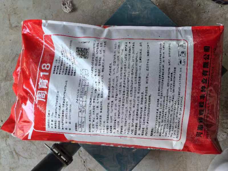 小麦种子，只限河南区域种植，批发，代理！