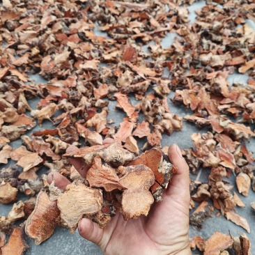 金刚头，菝契，金刚藤洗干净泥土无硫手工砍干货